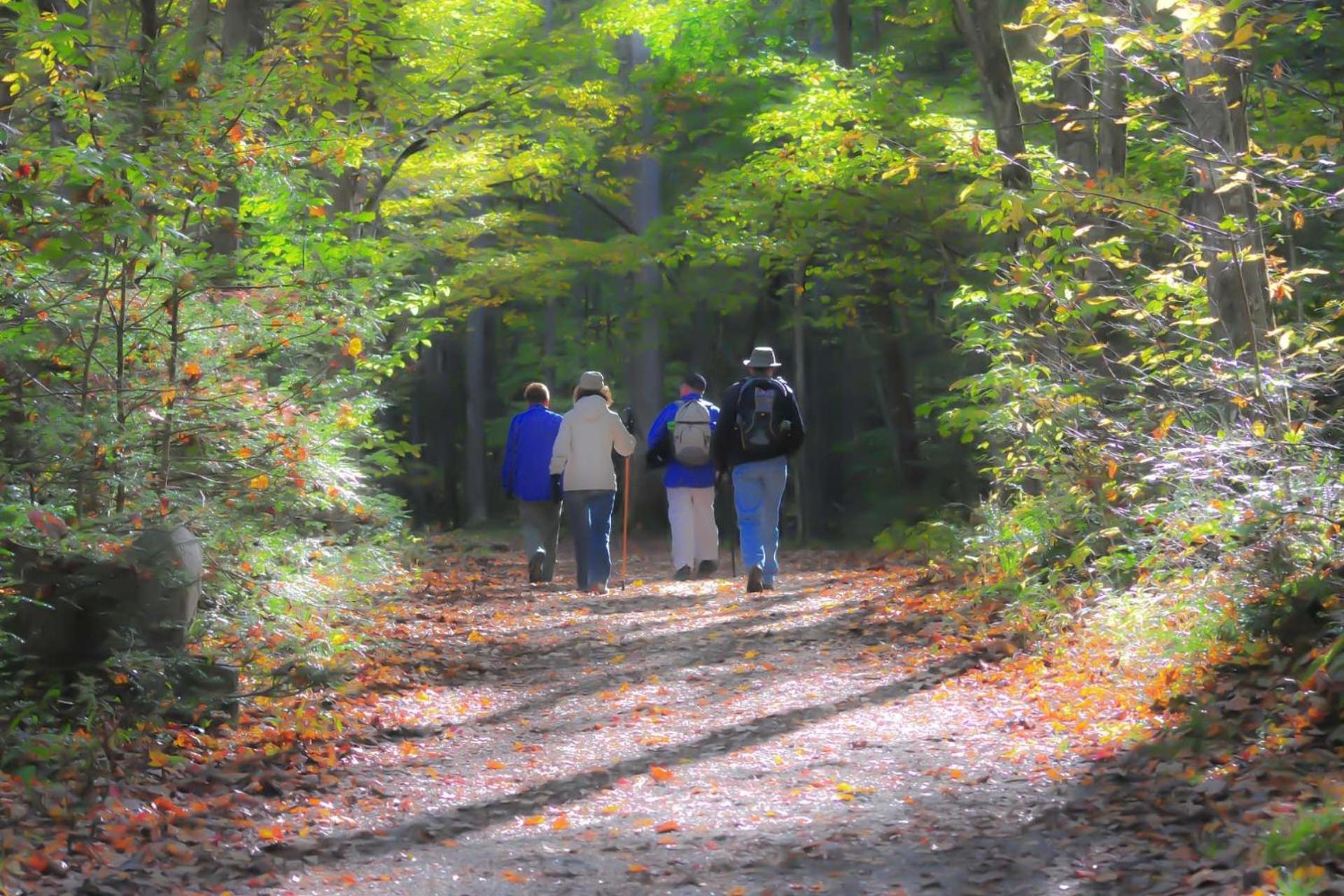 Hidden Hollow Pigeon Forge Eksteriør billede